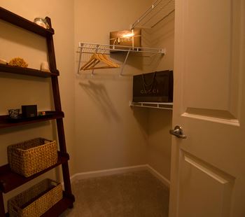 Walk-in closets with dressing area